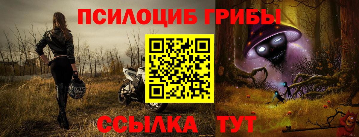 Галлюциногенные грибы ЛСД  Вход с VPN  Знаменск  Псилоцибиновые грибы Psilocybe 